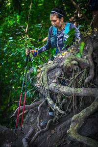 BIB: 
                            <button type="button" onclick="openModal(7088060)" class="btn btn-primary btn-sm float-right btn-popup" data-toggle="modal" data-target=".modal-high-quality">
                        <i class="fas fa-shopping-cart"></i> Add to Cart
                    </button>
                                            <button type="button" onclick="isThisMe(7088060, true)" class="btn btn-success btn-sm float-right btn-popup btn-isme hidden" data-toggle="tooltip" data-placement="bottom" title="นี่คือรูปของคุณใช่ไหม คลิกที่นี่เพื่อเอาเข้าอัลบั้ม">
                        <i class="fas fa-plus"></i> Add to album
                    </button>
                    <button type="button" onclick="isThisMe(7088060, false)" class="btn btn-warning btn-sm float-right btn-popup btn-isnotme hidden">
                        <i class="fas fa-ban"></i> Remove from album
                    </button>